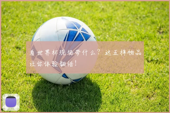 看世界杯现场带什么?这五样物品让你体验翻倍!