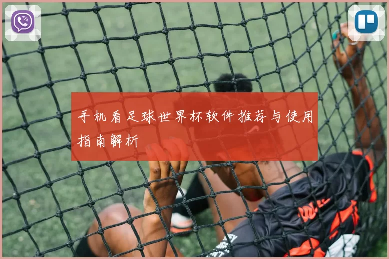 手机看足球世界杯软件推荐与使用指南解析