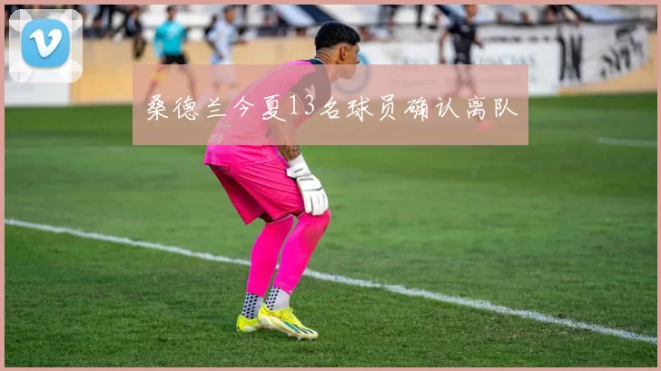 桑德兰今夏13名球员确认离队