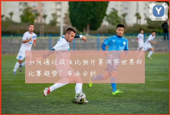 如何通过投注比例计算洞察世界杯比赛趋势?专业分析