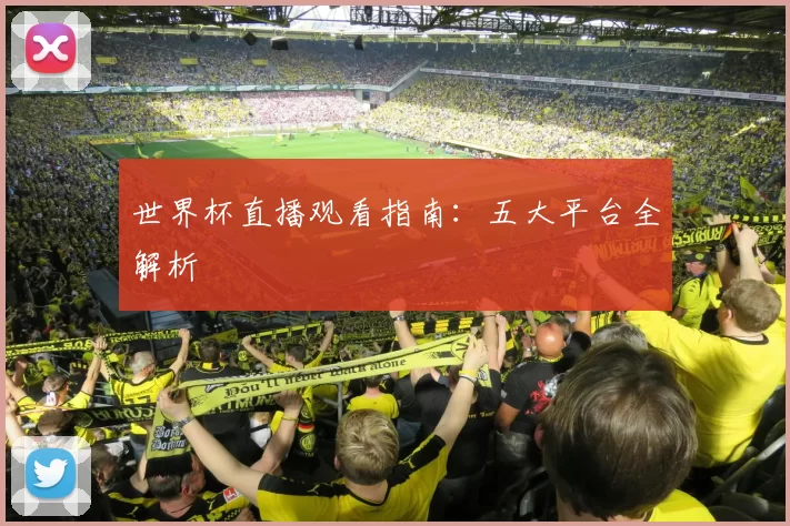 世界杯直播观看指南:五大平台全解析