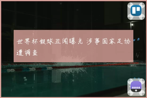 世界杯假球丑闻曝光 涉事国家足协遭调查
