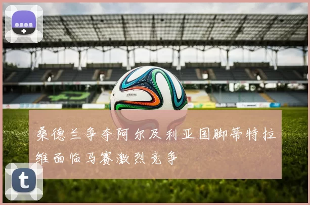 桑德兰争夺阿尔及利亚国脚蒂特拉维面临马赛激烈竞争